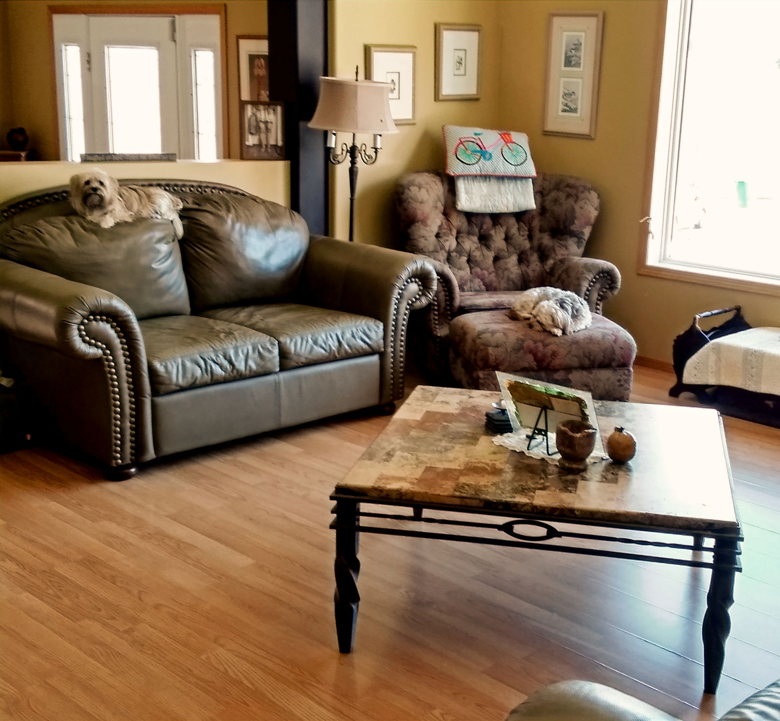 A freshly cleaned living room in a client home, with two small dogs resting on the couches